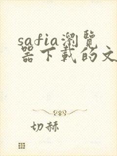 safia浏览器下载的文件在哪