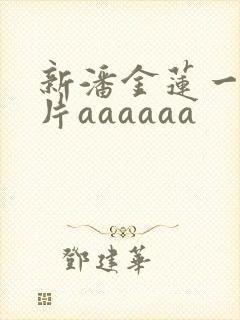 新潘金莲一级乳片aaaaaa