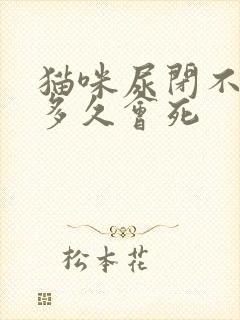 猫咪尿闭不治疗多久会死