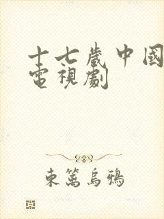 十七岁中国高清电视剧