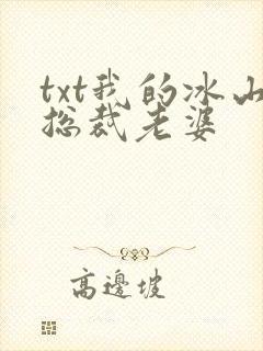 txt我的冰山总裁老婆