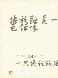 播放欧美一级黄色录像