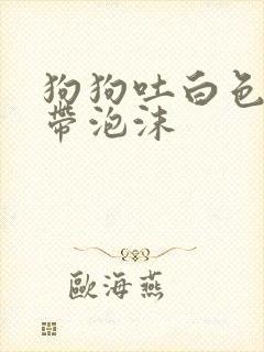 狗狗吐白色粘液带泡沫