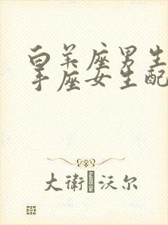 白羊座男生和射手座女生配对指数