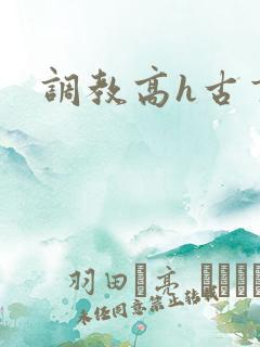 调教高h古言