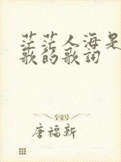 茫茫人海是哪首歌的歌词