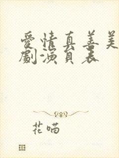 爱情真善美电视剧演员表