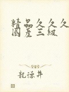 精品久久久久久国产三级