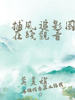 捕风追影国语版在线观看