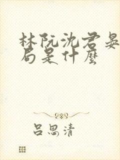 林阮沈君晏大结局是什么