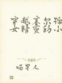 穿越赛尔号成为女精灵的小说