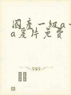 国产一级a一级a爰片免费