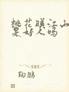 桃花映江山主上是好人吗