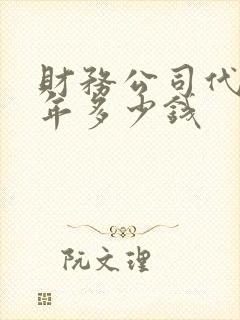 财务公司代账一年多少钱