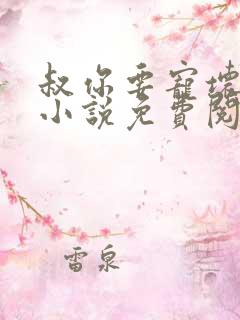 叔你要宠坏我了小说免费阅读