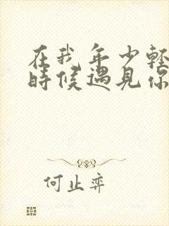 在我年少轻狂的时候遇见你是什么歌