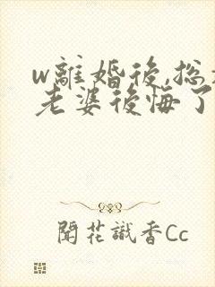 w离婚后,总裁老婆后悔了》