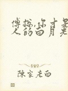 傅总,你才是夫人的白月光替身最新章节