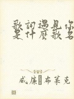 歌词遇见你的我是什么歌名