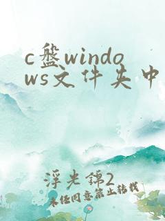c盘windows文件夹中的哪些文件可以删