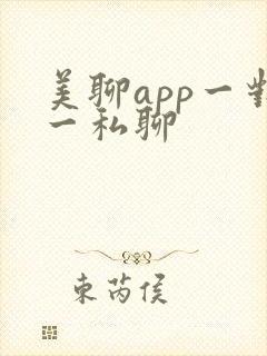 美聊app一对一私聊