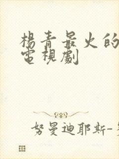 杨青最火的5部电视剧