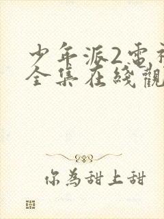 少年派2电视剧全集在线观看免费