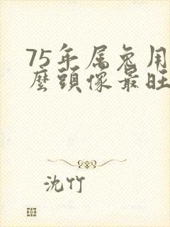 75年属兔用什么头像最旺财