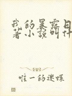 我的暴露日记原著小说叫什么