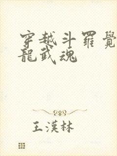 穿越斗罗觉醒赤龙武魂