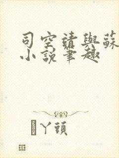 司空靖与苏月汐小说笔趣