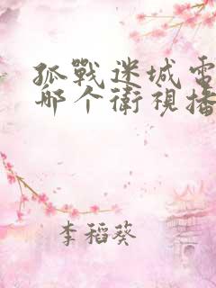 孤战迷城电视剧哪个卫视播出