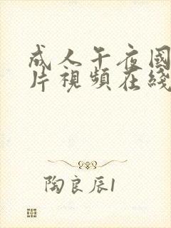 成人午夜国产毛片视频在线