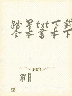 踏星txt下载全本书本下载