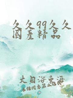 久久99久久久国产精品