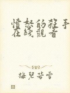 愤怒的杀手电影在线观看