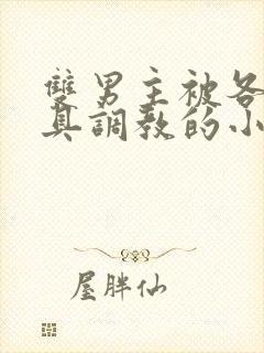 双男主被各种道具调教的小说