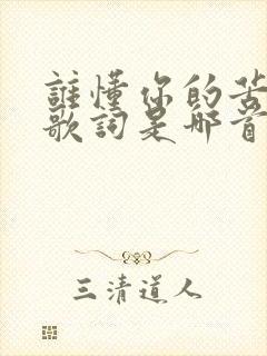 谁懂你的苦这句歌词是哪首歌的歌词