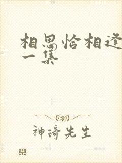 相思恰相逢最后一集