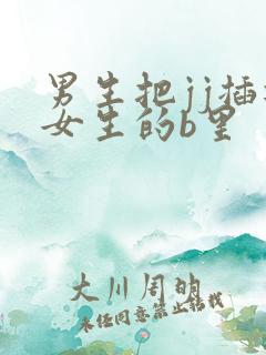 男生把jj插进女生的b里
