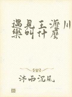 遇见王沥川纯音乐叫什么