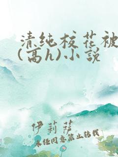 清纯校花被调教(高h)小说