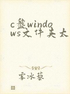 c盘windows文件夹太大