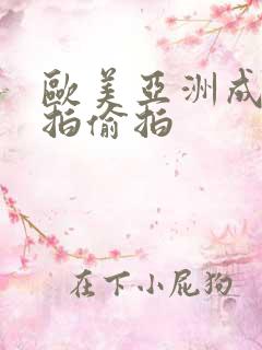 欧美亚洲成人自拍偷拍