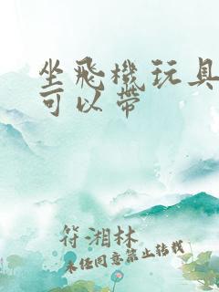 坐飞机玩具可不可以带