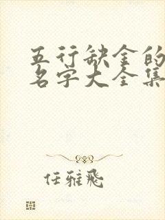 五行缺金的男孩名字大全集