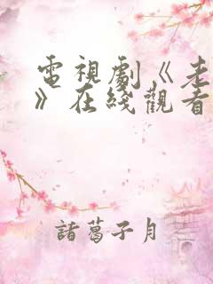 电视剧《老刑警》在线观看全集