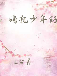 鸣龙少年的