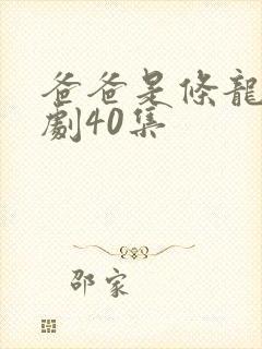 爸爸是条龙电视剧40集