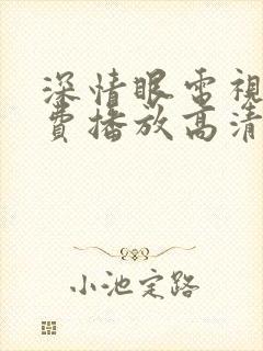 深情眼电视剧免费播放高清